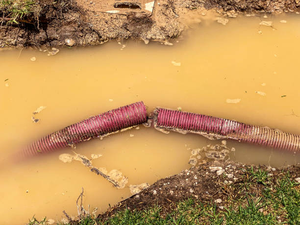 Best Basement water damage restoration  in Rancho San Diego, CA